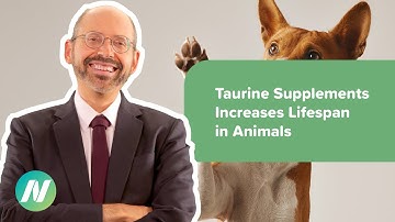 Taurine Supplementation Increases Lifespan and Healthspan in Animals