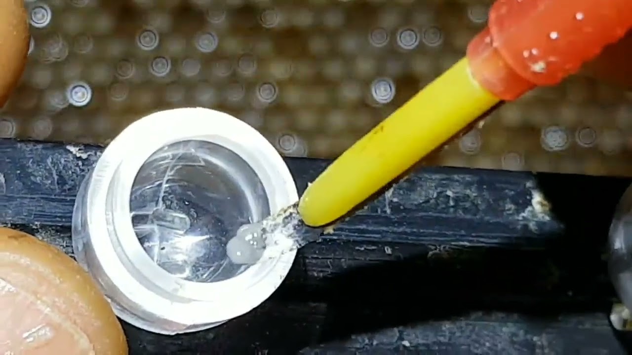 طريقة تربية ملكات النحل بطريقة التطعيم 👈شرح عملي اخوكم ابو نرمين محمد المصري