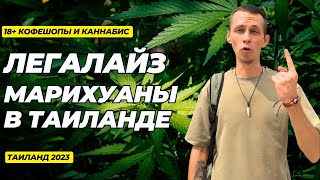 18+. Легалайз в Таиланде || Марихуанна и кофешопы