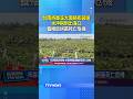 台南將軍溪大面積布袋蓮「水沖刷到出海口」 養殖區蚵苗死亡危機 #台南 #將軍溪 #布袋蓮
