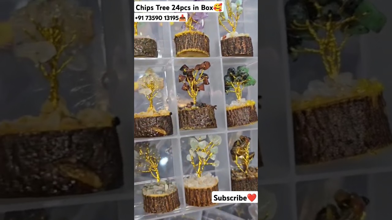 GEM QUALITY CHIPS TREE 24PCS BOX 📦 ( 15CHIPS )🥰😍 