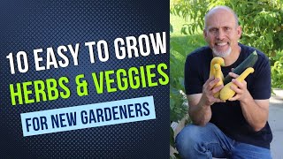 10 Easy to Grow Herbs and Vegetables for New Gardeners
