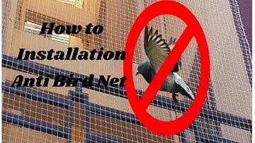 How to Installation anti bird net || Anti bird net | THK Facility
