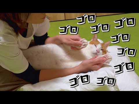 高級マッサージをされた猫がこうなりました【関西弁でしゃべる猫】