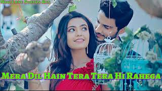 Badi Hasrato Se Tujhe Dekhti Hoon / New Love Status Aks