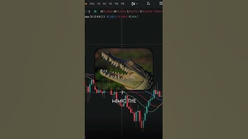 How to use Bill Williams Alligator