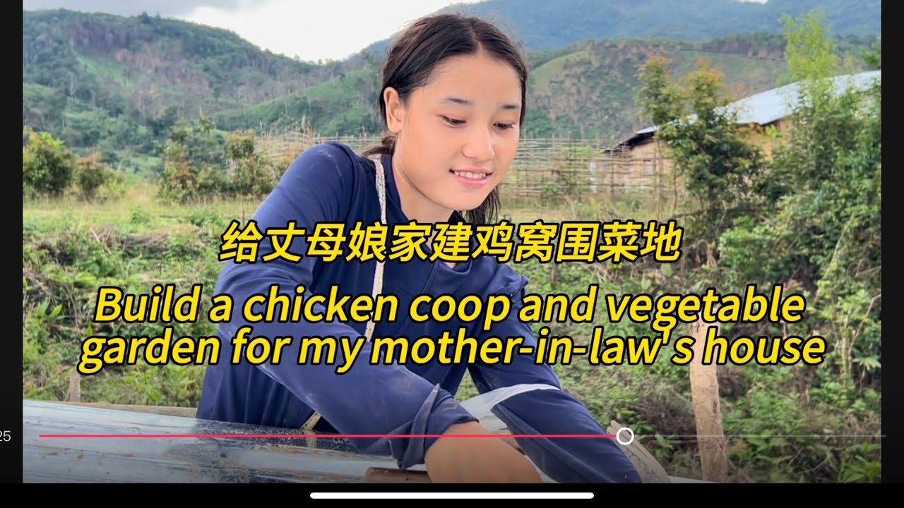 老挝媳妇儿给丈母娘搭鸡窝，结果烂尾了，Build a chicken coop and vegetable garden for my mother-in-law's house#老挝农村生活