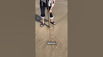 How to Find Sandworms