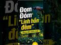 Sự thật đằng sau khả năng phát sáng của đom đóm