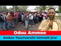 Oduu Ammee Breaking News Hiriira Yuunivarsitii Amboo