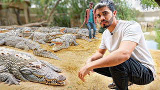 I entered a TEMPLE of SACRED CROCODILES in PAKISTAN.