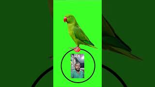 Preat puzzel best games challenge 🎮🎯 #Viral challenge # shortvideochallenge