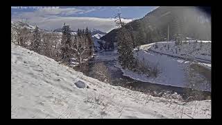 Mule Deer Buck at Hoback River WebCam - Jackson Wyoming