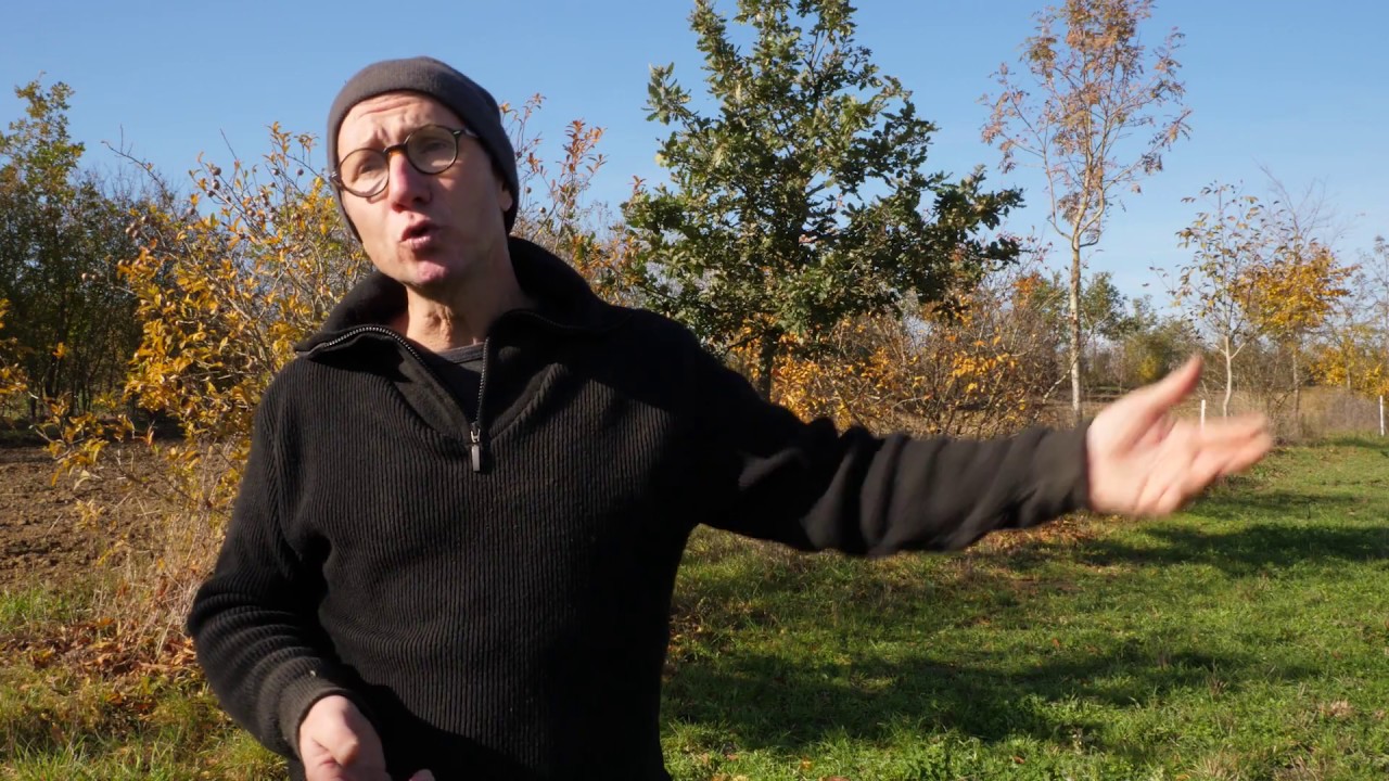 Pour une Bio autonome et cohérente - Terr'Eau Bio 2017 - Les Bios du Gers - La ferme en coton