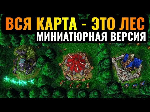 Видео: ТОЛЬКО ДЕРЕВЬЯ: ОЧЕНЬ маленькая карта! Вся карта - это ЛЕС, 8 игроков выживают в Warcraft 3 Reforged