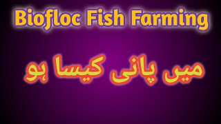water preparation for biofloc fish farming | water parameters for biofloc fish farming | PART 3