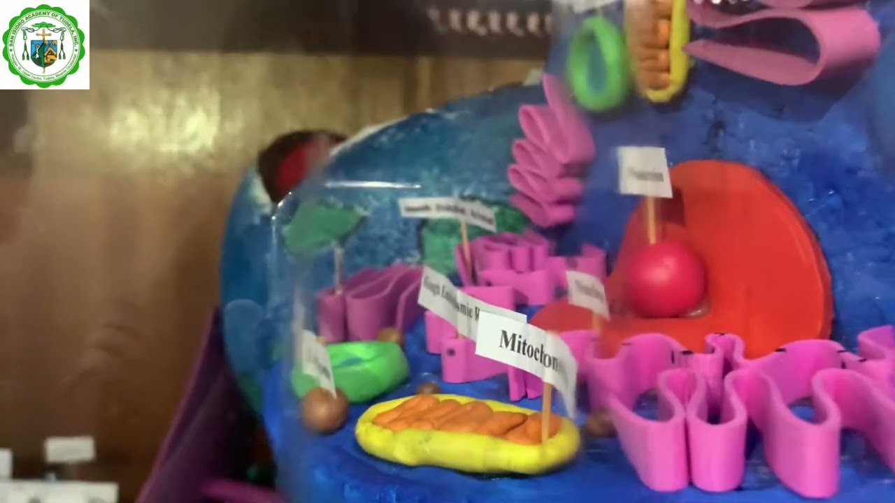 Media and Information Literacy