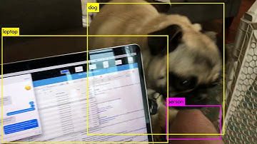 Testing YOLO on 4sec iPhone Video