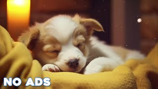 12 Hours Healing Dog Music 🐶 Soothing Sounds for Deep Relaxation and Sleep With Dog Sleeping Sound