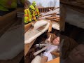 Buried Alive After Tornado! Woman &amp; Pitbull Rescued From Collapsed Home #rescue #wildliferescue