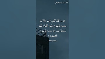 سورة آل عمران ( ٤٢ - ٤٤)/ ياسر الدوسري