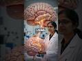 Scientists Discover a Shocking Way to Control Brain Cells 🧠 #science #ai #facts #new   #neuroscience