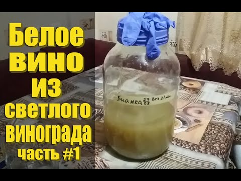 Вопрос: Как сделать белое вино?