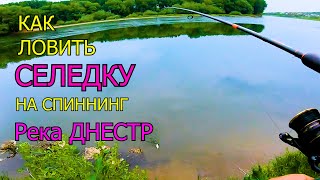 Как Ловить Селедку На Спининг Река Днестр!!!