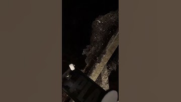 It was late...  (manual catch) | Session: Skate Sim #session #sessionskatesim