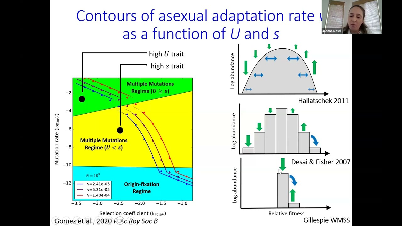 May 29, 2025 - Evolutionary theory