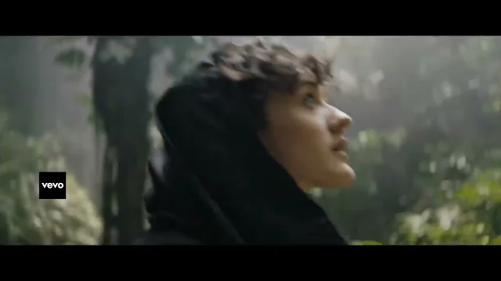 Alan Walker _ Ava Max - Alone_ Pt. II