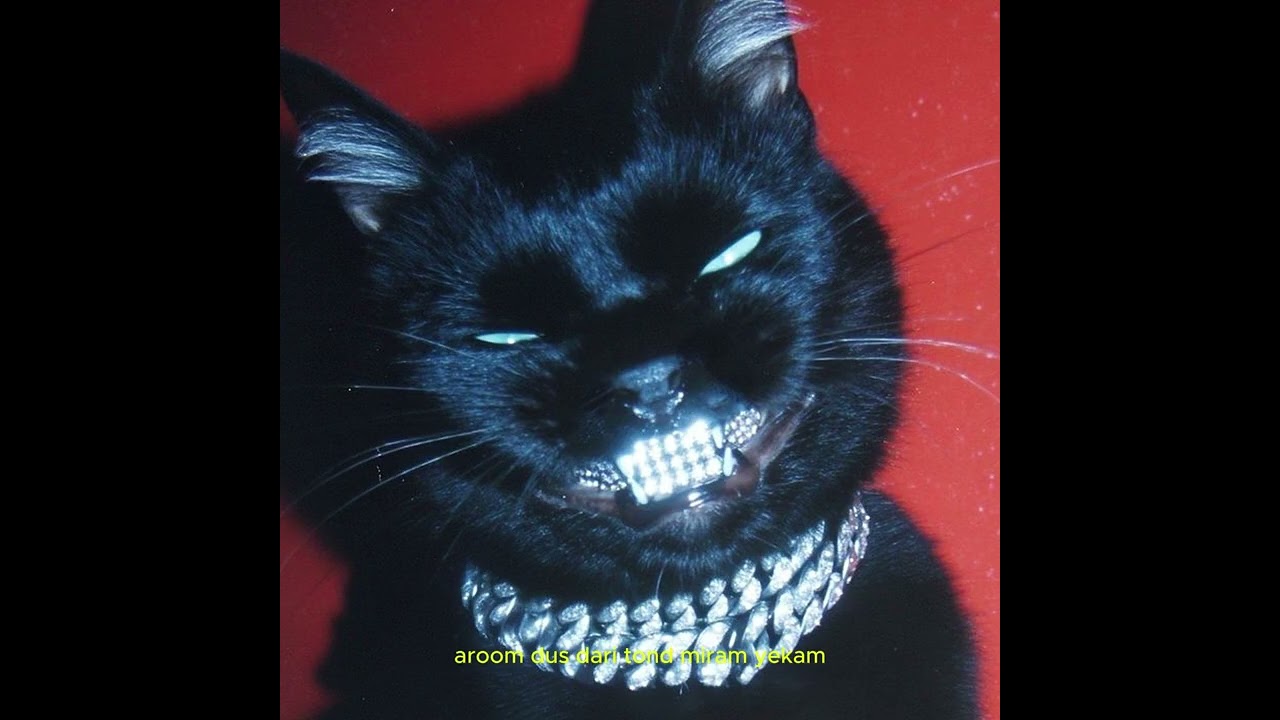 Se@xxx (Freestyle) - (Official Visualizer)