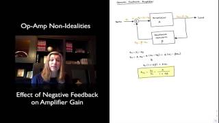Celebrity Effect of Negative Feedback on Amplifier Gain Wealth