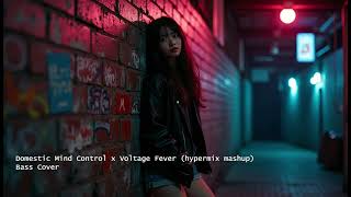 Domestic Mind Control x Voltage Fever (hypermix mashup) / ray B Bass Cover