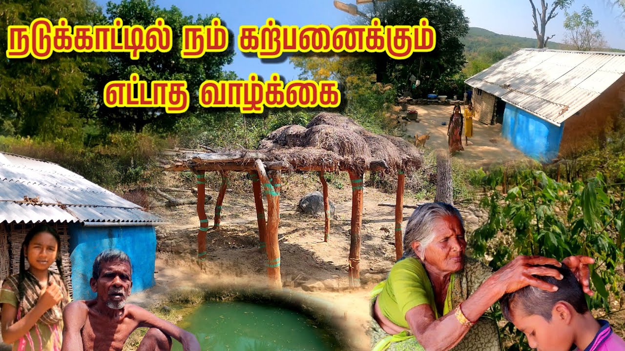 நடுக்காட்டில் கற்பனைக்கும் எட்டாத வாழ்க்கை | இப்படி கூட வாழ முடியுமா | LIFE IN DENSE FOREST |