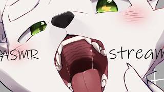 【ASMR】あなたのお耳をいただきます。【ケモノ系Vtuber｜Furry】
