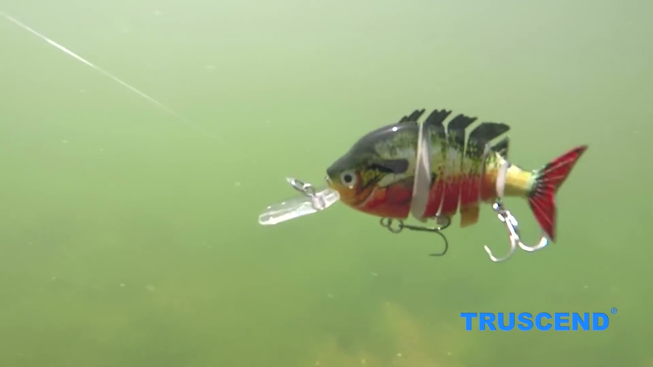 TRUSCEND Tilapia Swimbait Segmented Fishing Lure – Truscend Fishing