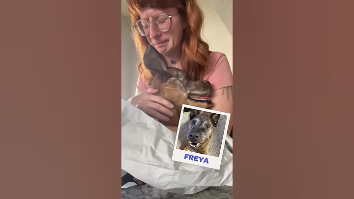 A compilation of heartwarming reactions to clones of their deceased pets 🥹❤️ #cuddleclones #petloss