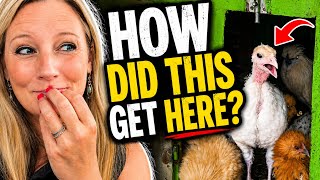 This is Confession | World’s Rarest 