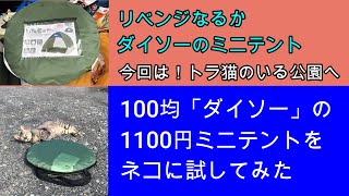 リベンジ！ダイソーのミニテント、ネコが涼みに来るのか？