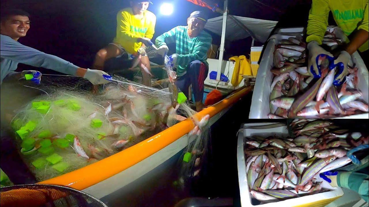 Jackpot sa Net fishing, Tiba-tiba sa dami ng huli, tumpukan ang isda sa bangka