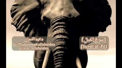 سورة الفيل للقارئ الشيخ د. محمد اللحيدان  حفظه الله