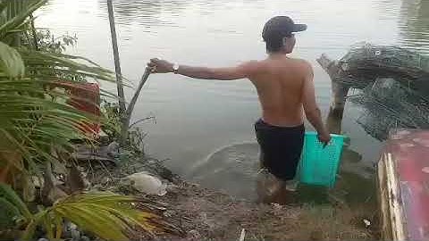 Hôm nay hai anh em đi bắt vọp