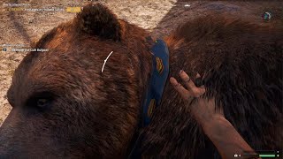 Far Cry 5 Trick shot