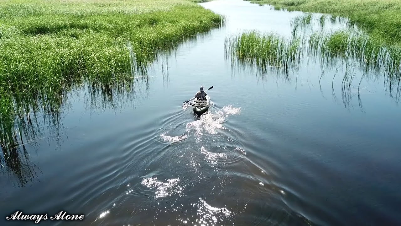 Рыбалка на щуку и окуня в камышах. Разведка по щучьим местам.  Вело-водный поход.