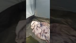 Вояж по Алтайскому краю на велосипеде 8. Утро на Горькое-перешеечном озере.