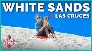 🛷🐶 Sledding at White Sands + Exploring Las Cruces New Mexico! | Newstates in the States