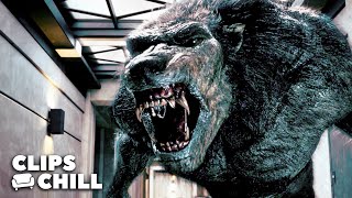 Epic Vampire vs. Werewolf Battle Scenes From The Underworld Movies