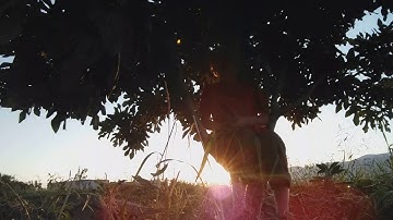 الصفحة 3 من سورة البقرة للقارئ عامر جبو تلاوة هادئة النسخة الأصلية 2019/7/13 م 1440 ه يوم السبت مساء