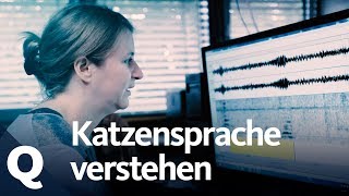 Katzensprache: Diese Frau kann 'kätzisch' übersetzen | Quarks